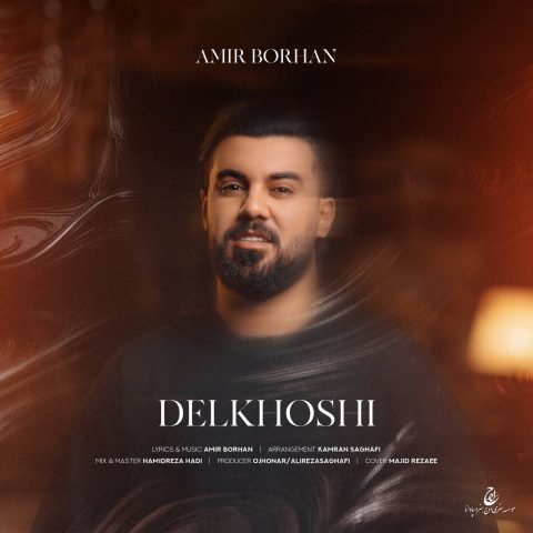 دانلود آهنگ امیر برهان دلخوشی دانلود آهنگ امیر برهان دلخوشی